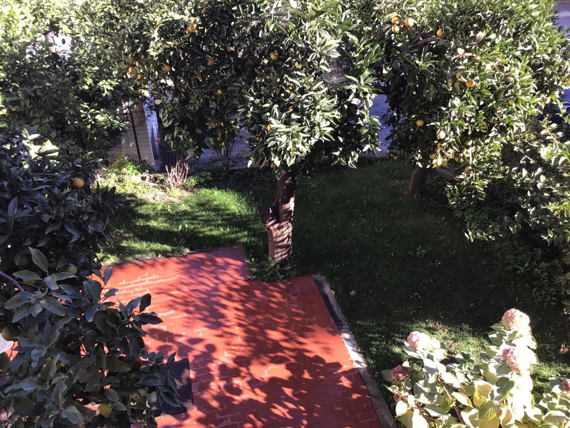 Casa Luigia Rooms Mtb In Finalborgo Bike Room Tour Ebike Trekking Finale Ligure Buitenkant foto